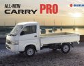 Suzuki Carry 2021 - Bán ô tô Suzuki New Carry Pro 2021 sản xuất năm 2021
