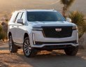 Cadillac Escalade 2021 - Cần bán Cadillac Escalades Platinum 2021 giá tốt