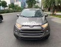 Ford EcoSport AT 2014 - Bán xe Ford EcoSport AT sản xuất năm 2014