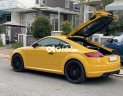 Audi TT 2015 - Bán xe Audi TT sản xuất 2015, màu vàng, nhập khẩu