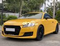 Audi TT 2015 - Bán xe Audi TT sản xuất 2015, màu vàng, nhập khẩu