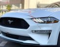 Ford Mustang EcoBoost Fastback 2018 - Bán Ford Mustang EcoBoost Fastback sản xuất 2018, màu trắng, nhập khẩu