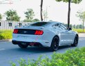 Ford Mustang Premium Fastback   2019 - Cần bán Ford Mustang Premium Fastback đời 2019, màu trắng, nhập khẩu