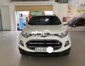 Ford EcoSport   Titanium  2017 - Bán Ford EcoSport Titanium năm sản xuất 2017