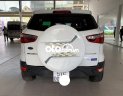 Ford EcoSport   Titanium  2017 - Bán Ford EcoSport Titanium năm sản xuất 2017