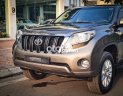 Toyota Prado  TXL 2017 - Bán xe Toyota Prado TXL sản xuất 2017, màu xám, xe nhập còn mới