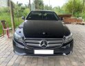Mercedes-Benz 2017 - Cần bán Mercedes E250 đời 2017, màu đen