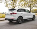 Porsche Cayenne Platinum 2017 - Cần bán gấp Porsche Cayenne Platium sản xuất năm 2017