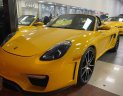 Porsche Boxster 2009 - Xe Porsche Boxster năm 2009, màu vàng, nhập khẩu