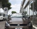 Volkswagen Polo 1.6 2021 - Cần bán Volkswagen Polo 1.6 đời 2021, màu nâu, nhập khẩu số tự động