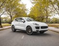 Porsche Cayenne Platinum 2017 - Cần bán gấp Porsche Cayenne Platium sản xuất năm 2017