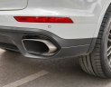 Porsche Cayenne Platinum 2017 - Cần bán gấp Porsche Cayenne Platium sản xuất năm 2017