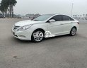 Hyundai Sonata  Y20 2010 - Bán ô tô Hyundai Sonata Y20 sản xuất năm 2010, màu trắng, nhập khẩu nguyên chiếc giá cạnh tranh