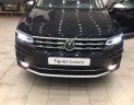 Volkswagen Tiguan Luxury S 2021 - [Ưu đãi khủng] cần bán Volkswagen Tiguan Luxury S sản xuất 2021