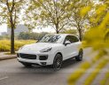 Porsche Cayenne 2017 - Cần bán Porsche Cayenne Platinum năm 2017 giá 4 tỷ 350tr