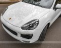 Porsche Cayenne 2017 - Cần bán Porsche Cayenne Platinum năm 2017 giá 4 tỷ 350tr