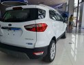 Ford EcoSport 2021 - Hỗ trợ 100% phí trước bạ, ưu đãi hấp dẫn trong tháng, xe sẵn giao ngay