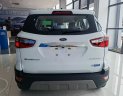 Ford EcoSport 2021 - Hỗ trợ 100% phí trước bạ, ưu đãi hấp dẫn trong tháng, xe sẵn giao ngay