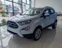 Ford EcoSport 2021 - Hỗ trợ 100% phí trước bạ, ưu đãi hấp dẫn trong tháng, xe sẵn giao ngay