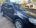 Ford Escape XLT 2010 - Bán Ford Escape XLT sản xuất 2010, màu đen