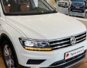 Volkswagen Tiguan 2021 - Volkswagen Tiguan luxury S 2021, ưu đãi hấp dẫn
