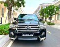 Toyota Land Cruiser  VX 4.6  2020 - Bán xe Toyota Land Cruiser VX 4.6 năm 2020, màu đen, xe nhập