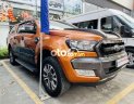 Ford Ranger   Wildtrak 3.2L 4x4AT 2017 - Bán Ford Ranger Wildtrak 3.2L 4x4AT năm sản xuất 2017, nhập khẩu 