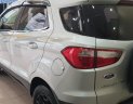 Ford EcoSport 1.5 Titanium 2017 - Bán Ford Ecosport Titanium máy 1.5 số tự động đời T12/2017 màu bạc tuyệt đẹp mới 90% 1 chủ