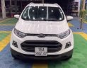 Ford EcoSport Titanium 2014 - Bán Ford EcoSport Titanium sản xuất năm 2014, màu trắng