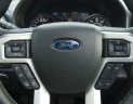 Ford F 150 Platinum 2016 - Cần bán Ford F 150 Platinum sản xuất năm 2016, màu đen, nhập khẩu 