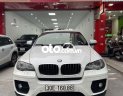 BMW X6 2009 - Bán BMW X6 xDriver35i sản xuất năm 2009, màu trắng, nhập khẩu nguyên chiếc