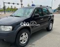 Ford Escape 2003 - Cần bán gấp Ford Escape XLT AT năm 2003, màu đen