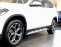 BMW X1 2022 - Cần bán BMW X1 sDrive18i năm 2022, màu trắng, xe nhập