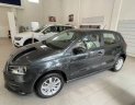 Volkswagen Polo 2022 - Bán Volkswagen Polo 1.6 năm 2022, màu xám, nhập khẩu nguyên chiếc