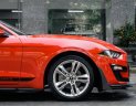 Ford Mustang 2021 - Màu đỏ, xe nhập