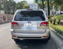 Ford Escape 2009 - Cần bán lại xe Ford Escape XLT 4x4 2009, màu vàng