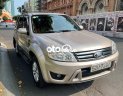 Ford Escape 2009 - Cần bán lại xe Ford Escape XLT 4x4 2009, màu vàng