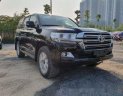 Toyota Land Cruiser 2019 - Bán Toyota Land Cruiser 5.7 V8 sản xuất năm 2019, màu đen còn mới