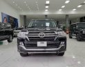 Toyota Land Cruiser 2016 -  Bán Toyota Land Cruiser VX4.6 V8, sản xuất 2016, lăn bán cực ít, xe siêu mới