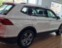 Volkswagen Tiguan 2020 - Bán ô tô Volkswagen Tiguan năm sản xuất 2020, màu trắng, nhập khẩu