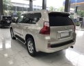 Lexus GX460 2011 - Cần bán xe Lexus GX460 2011, màu vàng, nhập khẩu Mỹ một chủ từ đầu