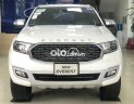 Ford Everest 2022 - Bán xe Ford Everest 2.0 năm sản xuất 2022, màu trắng, nhập khẩu nguyên chiếc