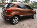 Ford EcoSport 2020 - Màu nâu