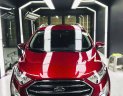 Ford EcoSport 2019 - Màu đỏ xe gia đình