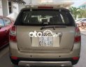 Chevrolet Captiva 2008 - Màu vàng cát