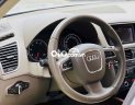 Audi Q5 2009 - Màu bạc model 2010