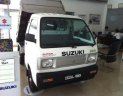 Suzuki Carry 2021 - Màu trắng giá hữu nghị