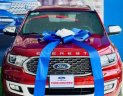 Ford Everest 2020 - Đăng ký lần đầu 2021