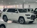 Toyota 4 Runner 2015 - Biển tỉnh, tên tư nhân