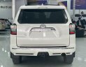 Toyota 4 Runner 2015 - Biển tỉnh, tên tư nhân